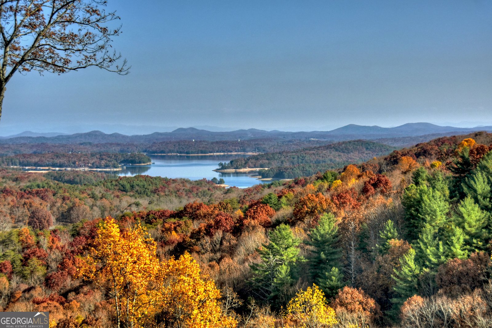 723 Ripshin Heights Blue Ridge - Photo 11