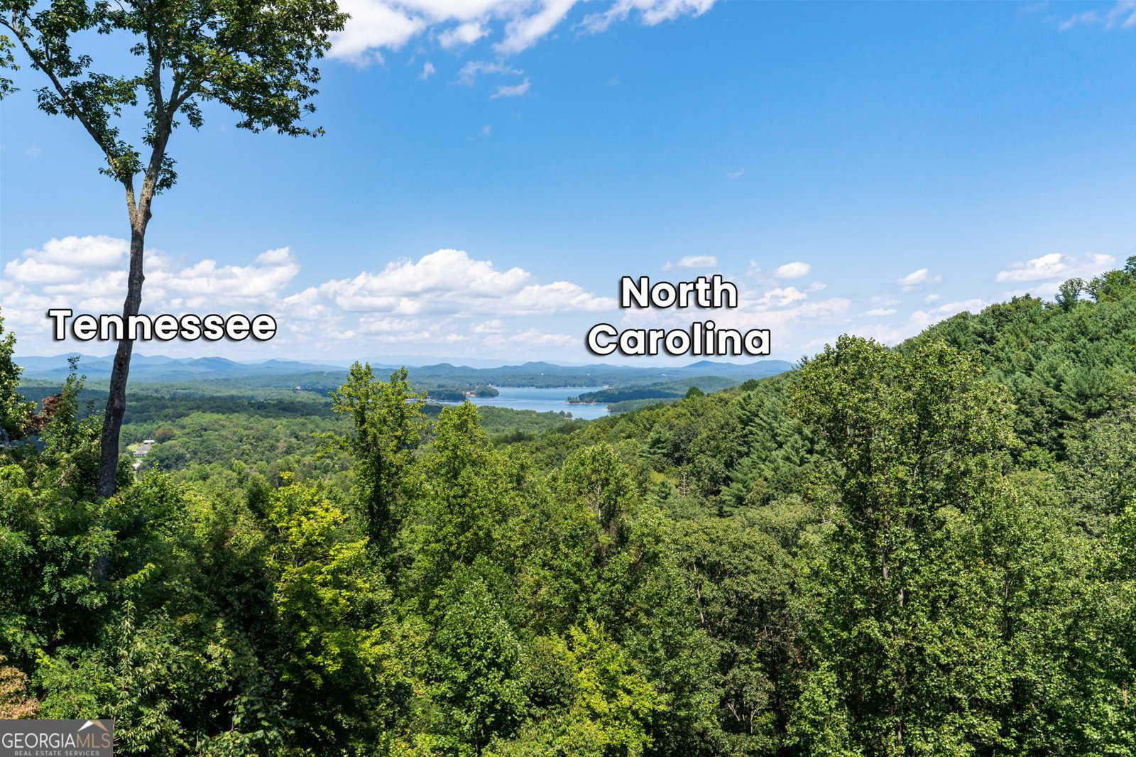 723 Ripshin Heights Blue Ridge - Photo 33