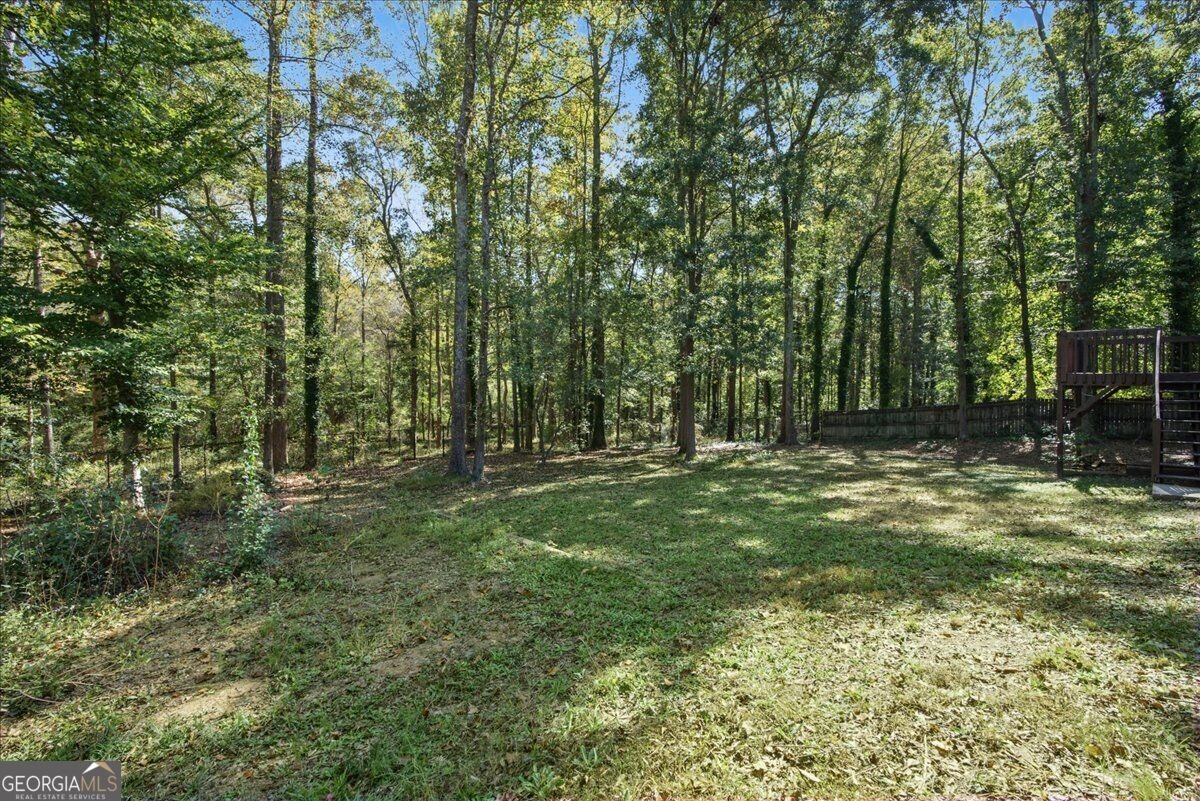 263 Cotton Mill Drive Hiram - Photo 55