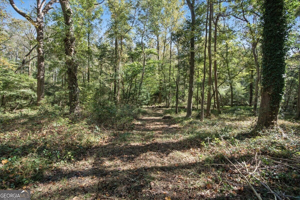 263 Cotton Mill Drive Hiram - Photo 61