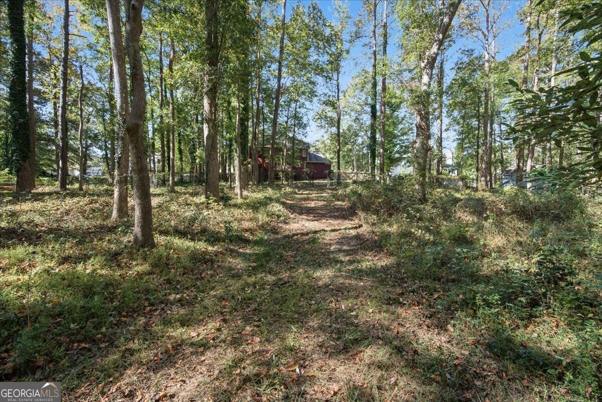 263 Cotton Mill Drive Hiram - Photo 66