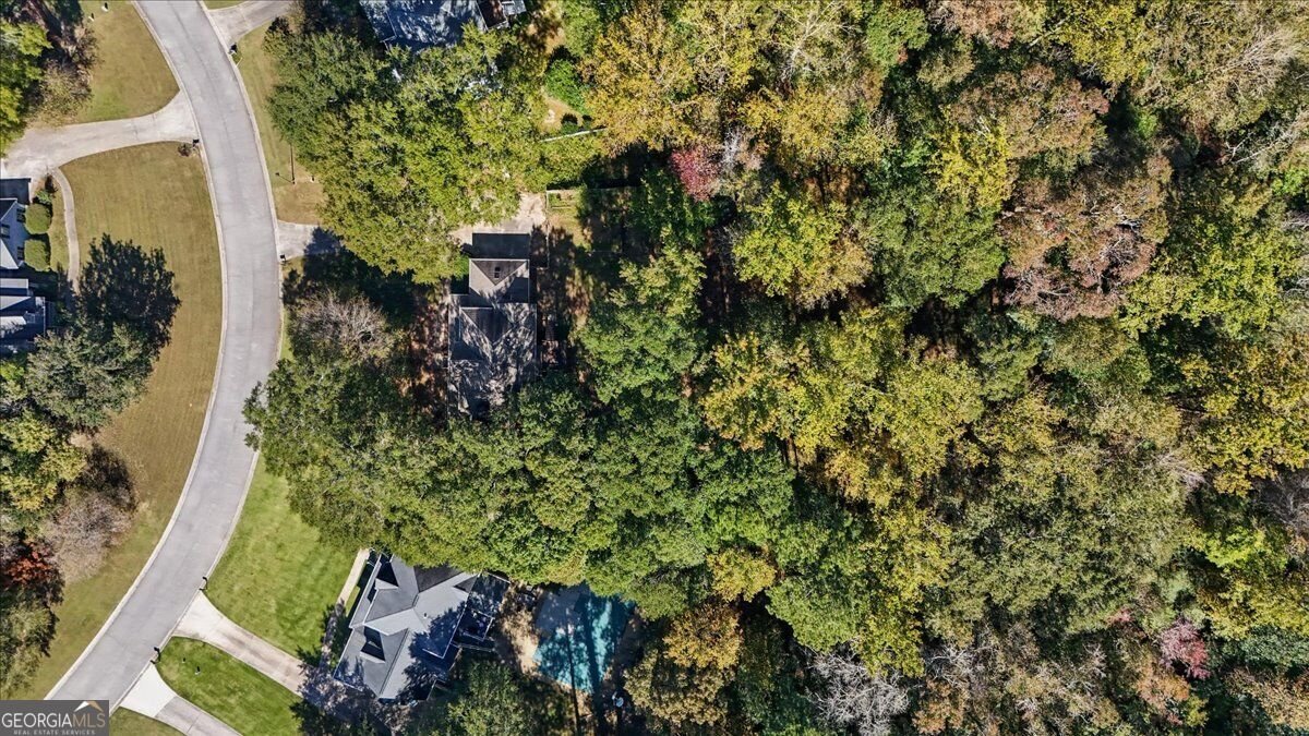 263 Cotton Mill Drive Hiram - Photo 69