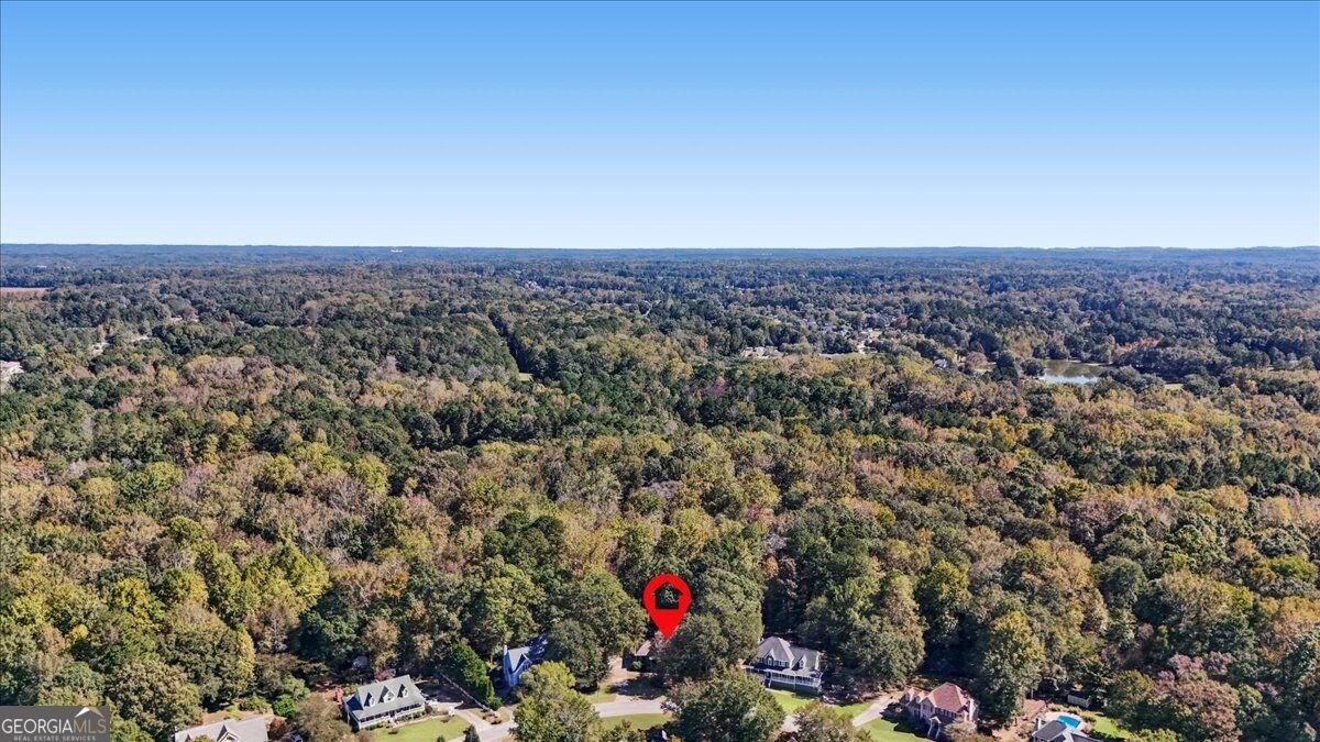 263 Cotton Mill Drive Hiram - Photo 70