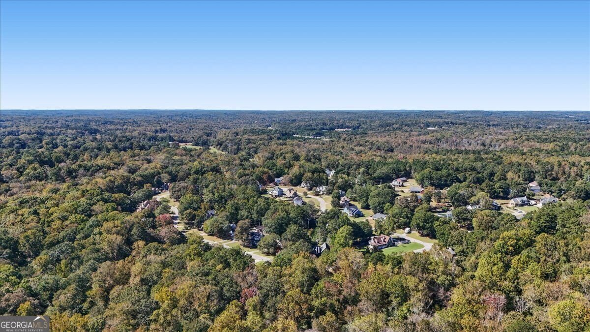 263 Cotton Mill Drive Hiram - Photo 71