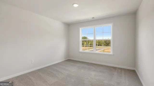 3940 Silver Pine Trail Cumming - Photo 18