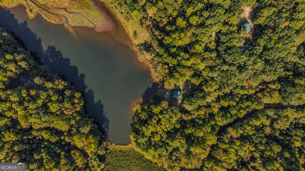 170 Cohutta Wilderness Trail Ellijay - Photo 54