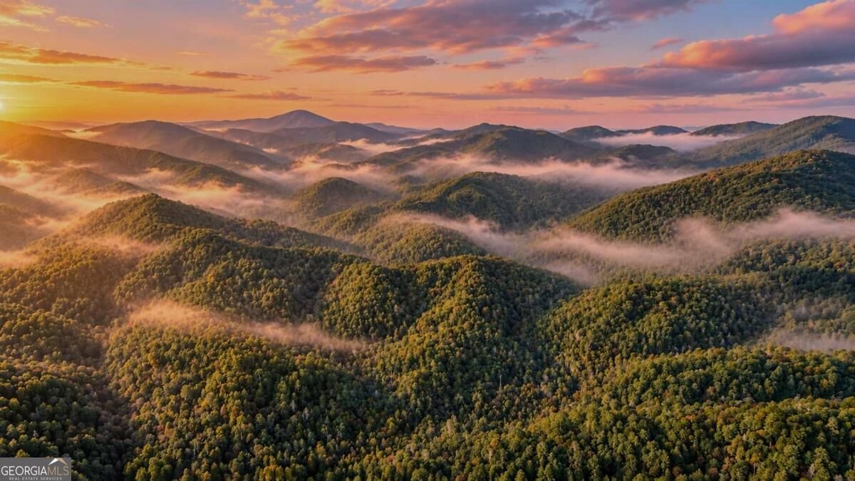 170 Cohutta Wilderness Trail Ellijay - Photo 56