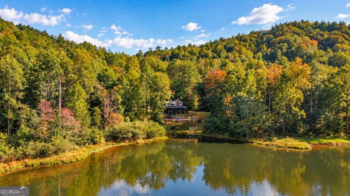 170 Cohutta Wilderness Trail Ellijay - Photo 6