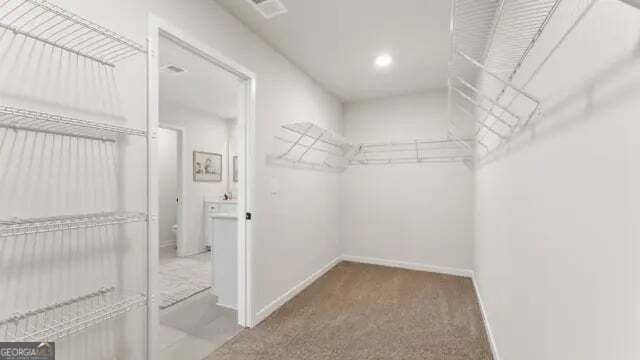 3950 Silver Pine Trail Cumming - Photo 29