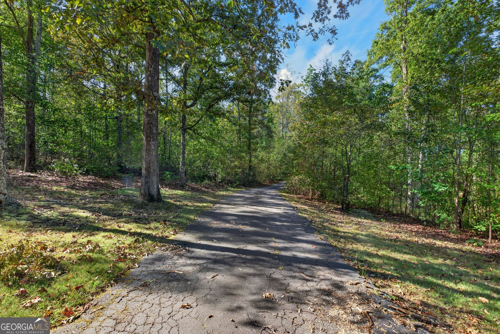 1300 Indian Creek Road Bowdon - Photo 56