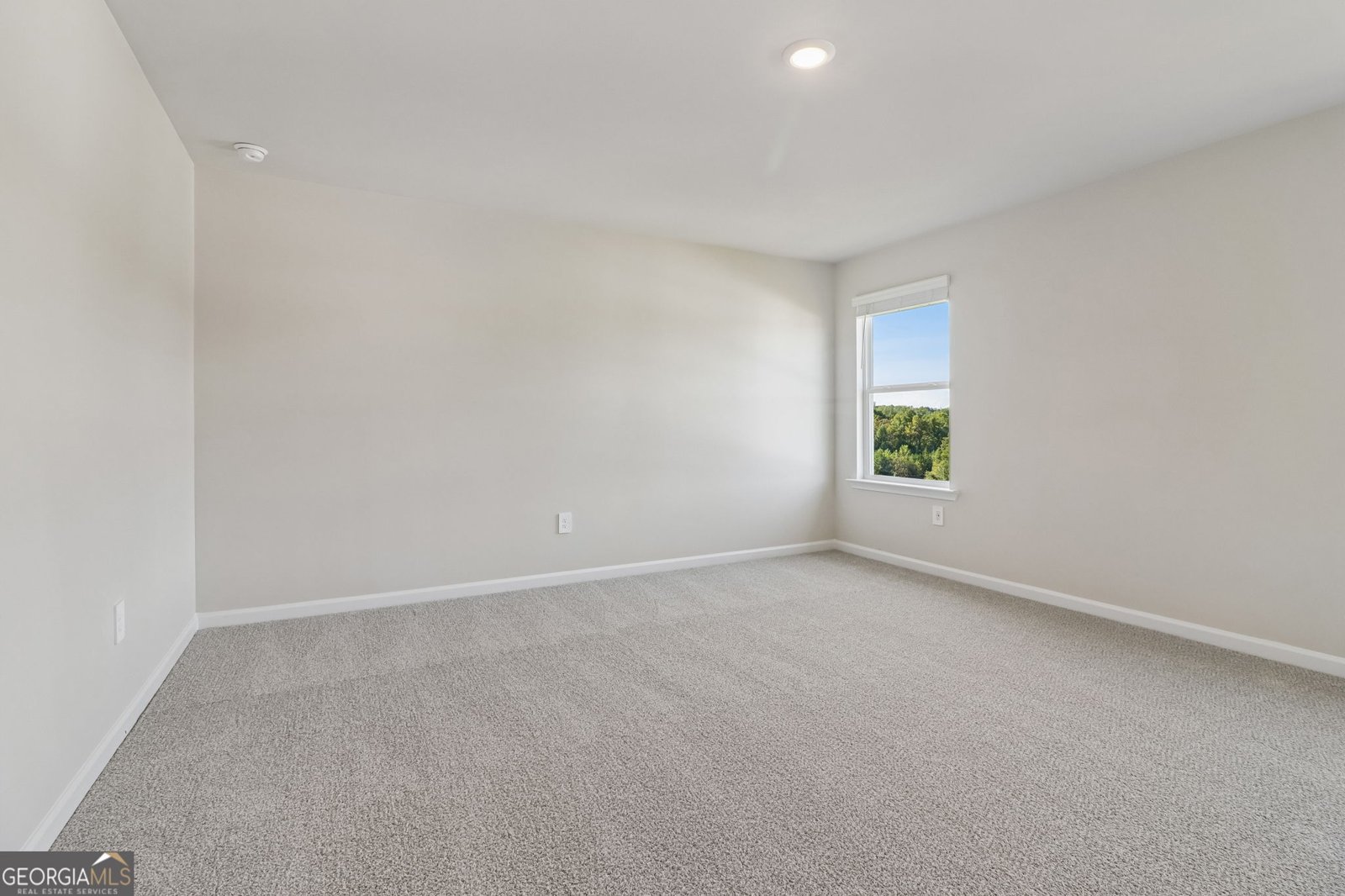 237 Mulberry Creek Pendergrass - Photo 34