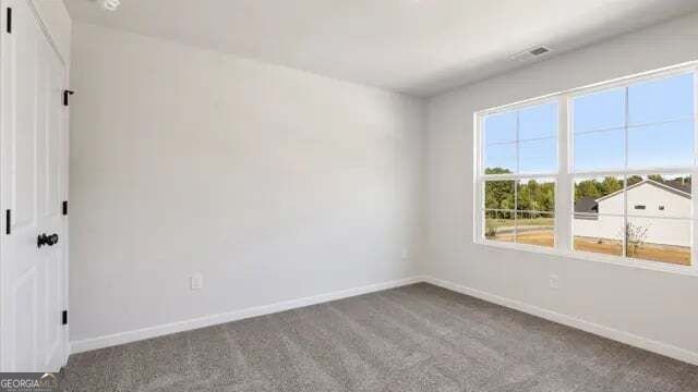 3975 Silver Pine Trail Cumming - Photo 20