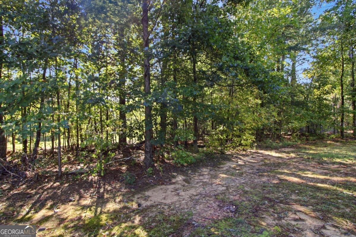3877 Rosebay Way Conyers - Photo 50