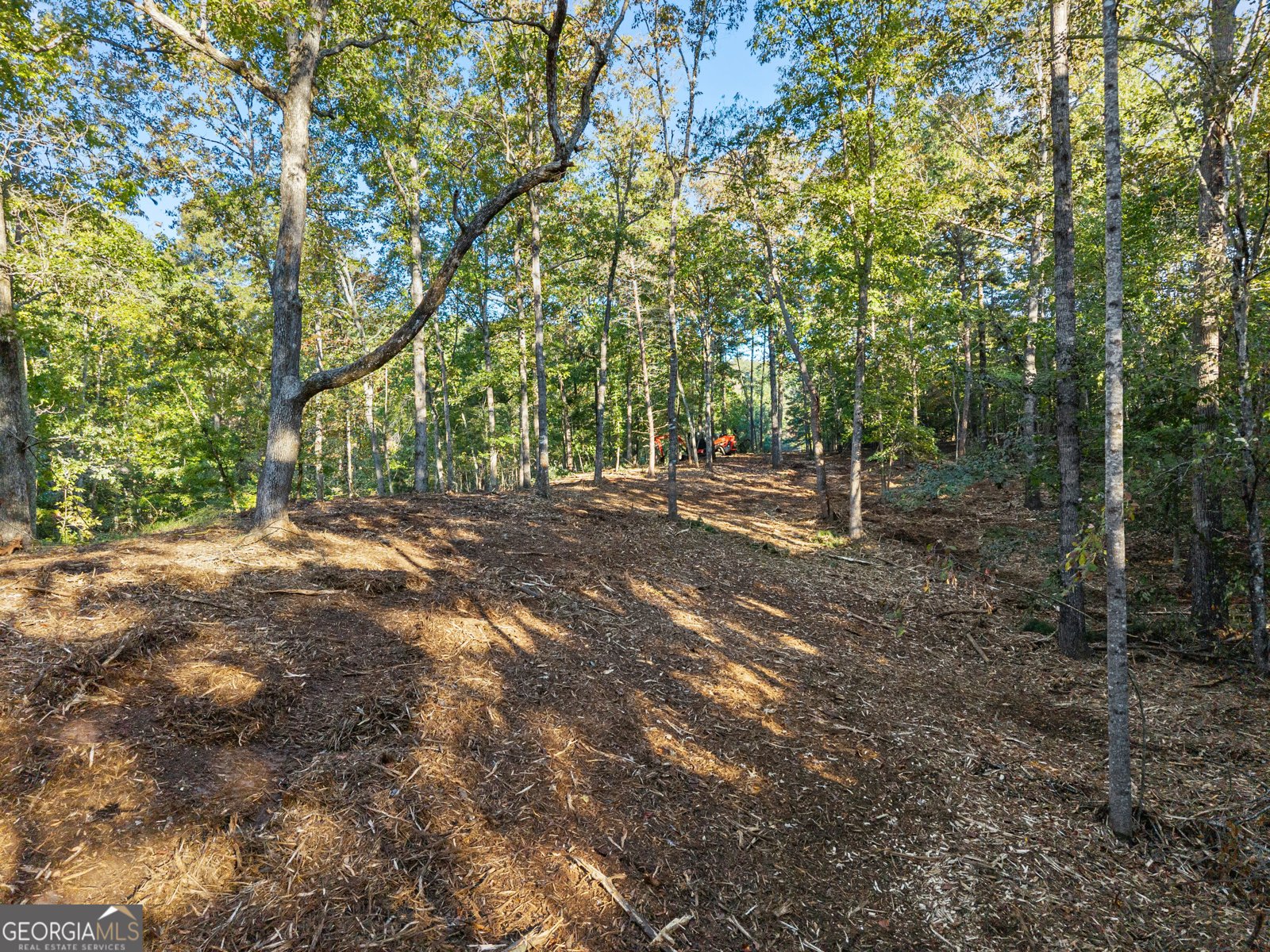 0 Old Cherokee Road Cleveland - Photo 20
