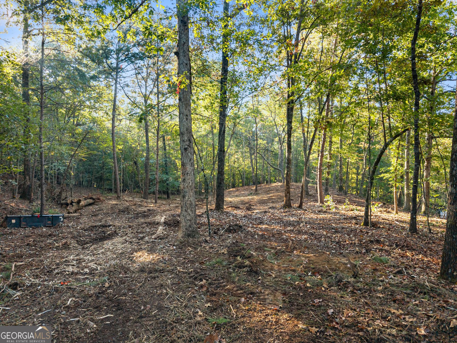 0 Old Cherokee Road Cleveland - Photo 22