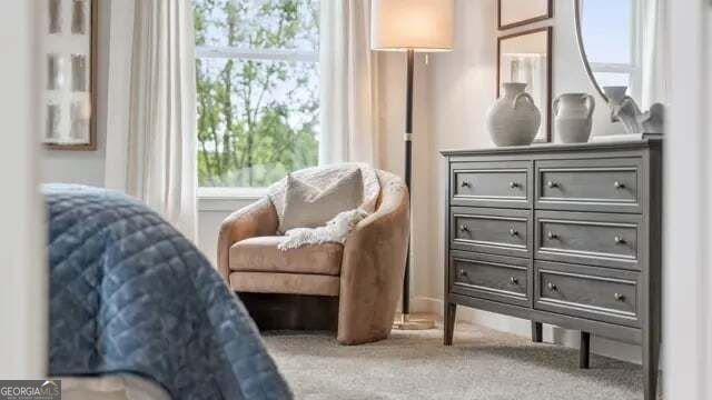 3925 Silver Pine Trail Cumming - Photo 24