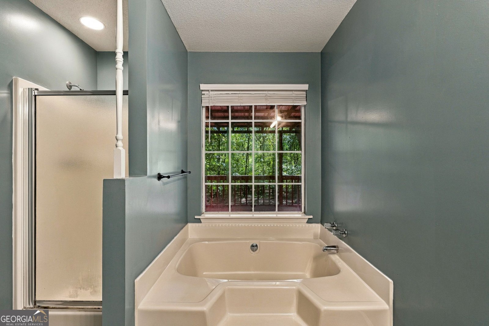 117 BLACKBERRY Trail Forsyth - Photo 21
