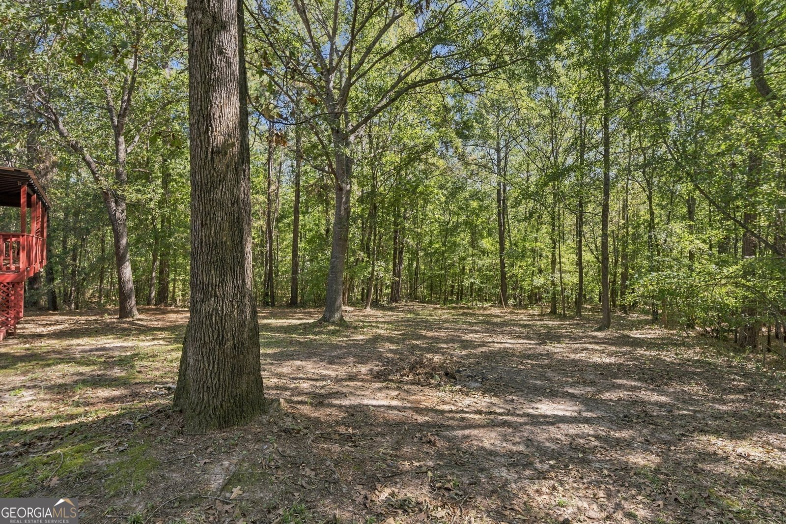 117 BLACKBERRY Trail Forsyth - Photo 29