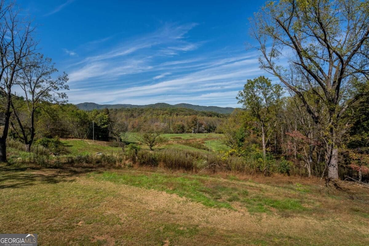 7590 Mobile Road Blue Ridge - Photo 54