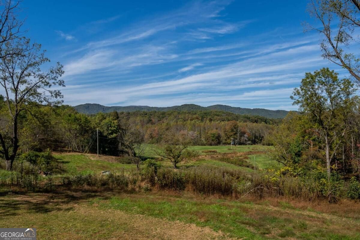 7590 Mobile Road Blue Ridge - Photo 55