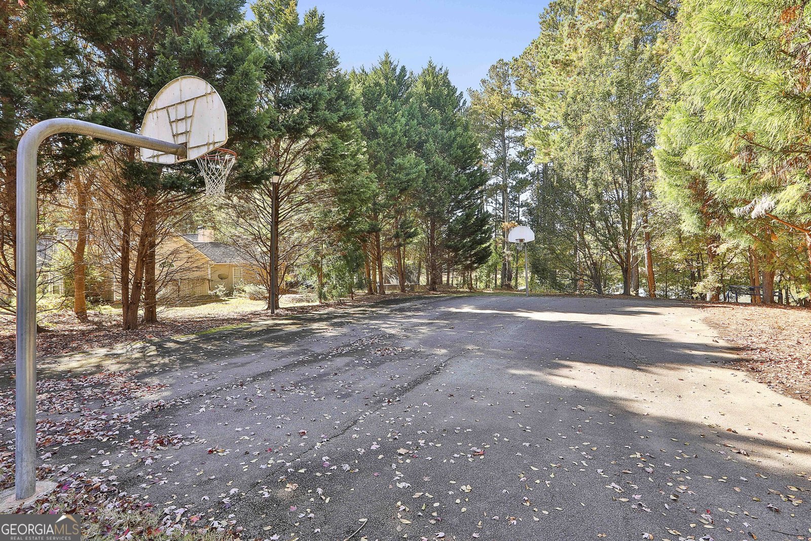 200 Brechin Drive Senoia - Photo 50