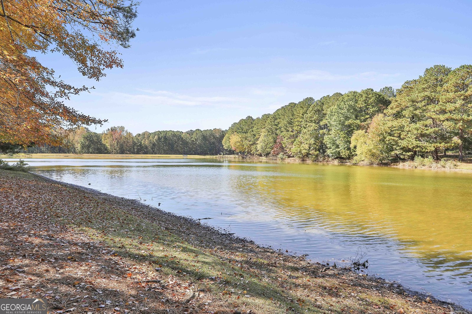 200 Brechin Drive Senoia - Photo 54