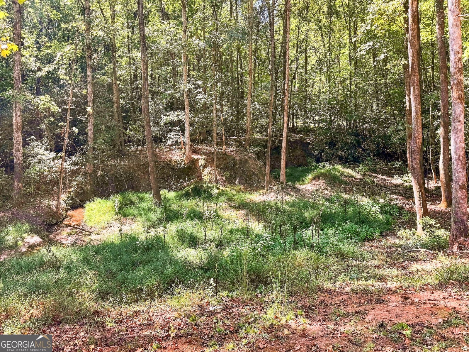 154 Katy Lake Road Jackson - Photo 46