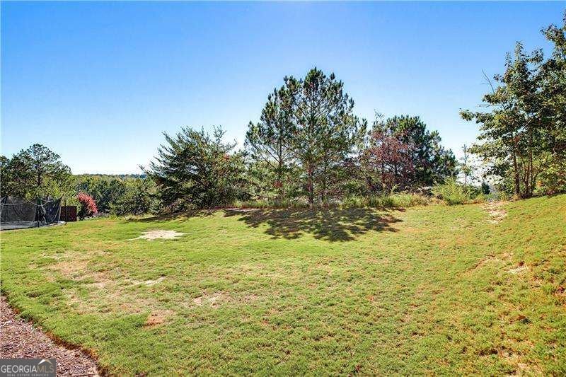 152 Mount Moriah Road Ball Ground - Photo 33