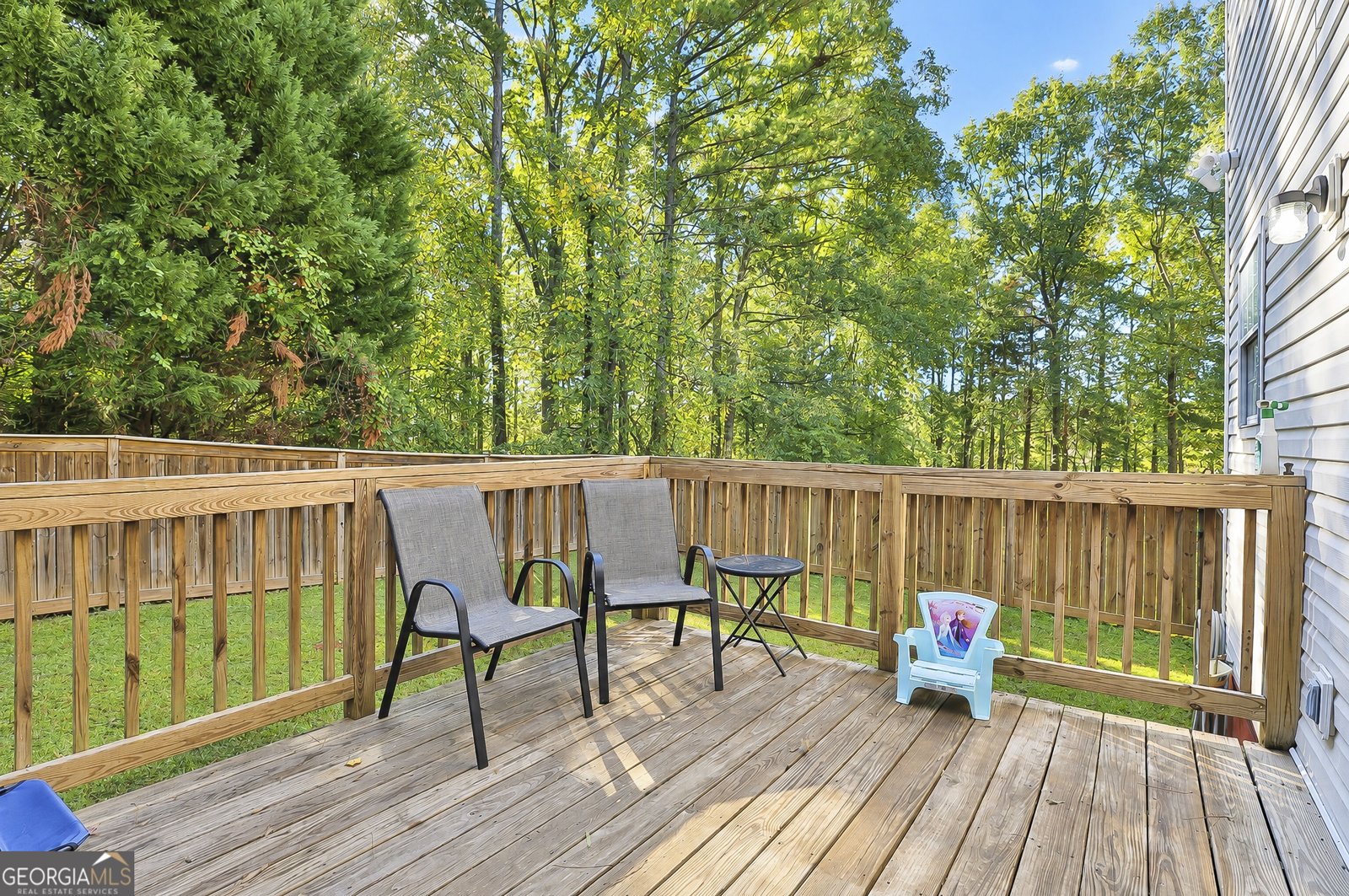 122 Beech Court Senoia - Photo 33
