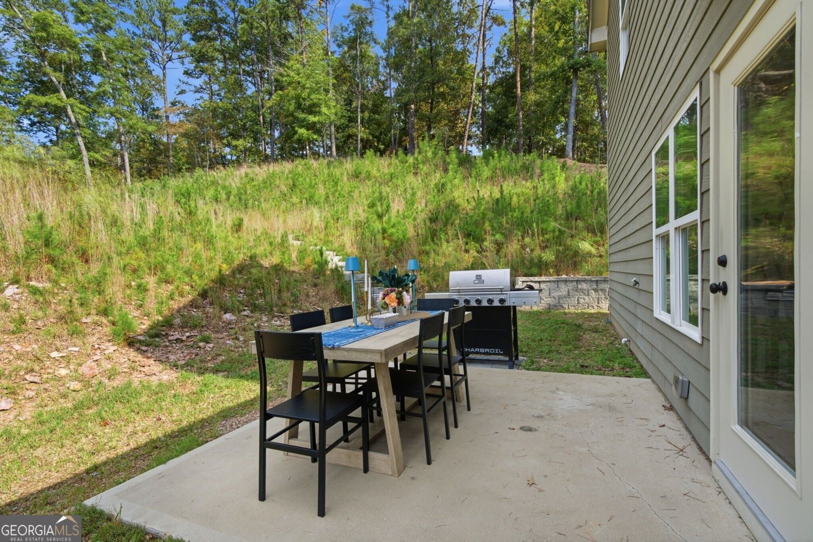 170 White Antelope Street Waleska - Photo 35