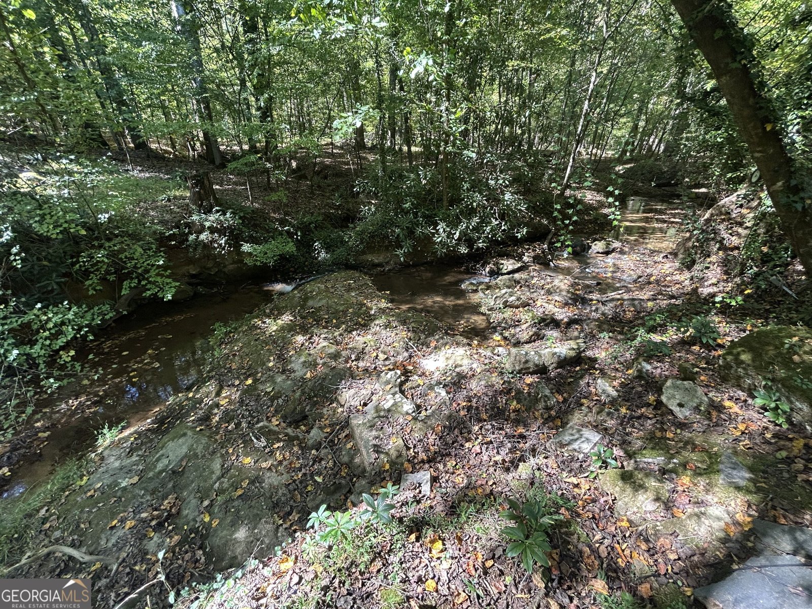 650 Woodside Road Athens - Photo 65