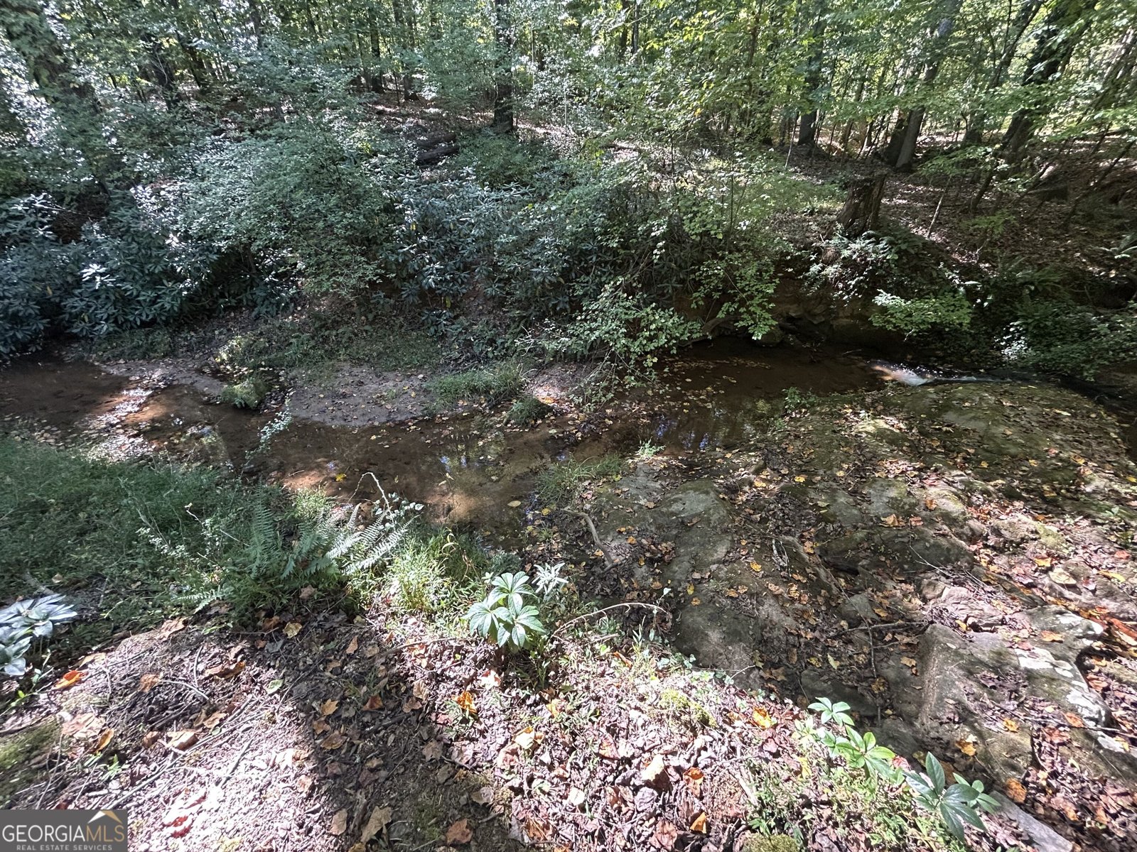650 Woodside Road Athens - Photo 69