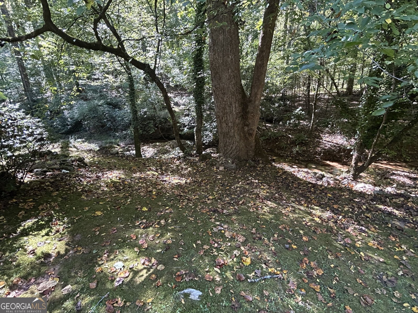 650 Woodside Road Athens - Photo 71