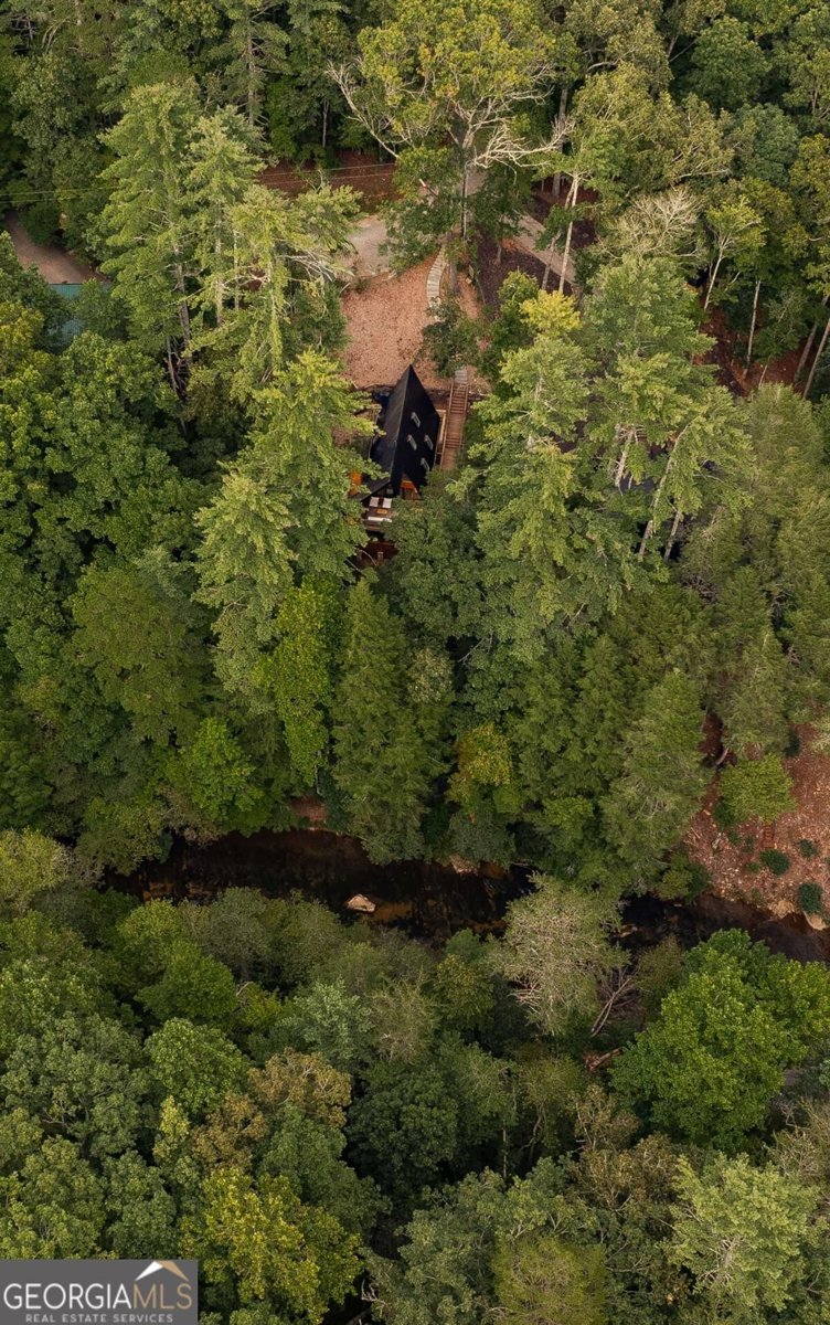 43 Dogwood Riverside Drive Blue Ridge - Photo 42