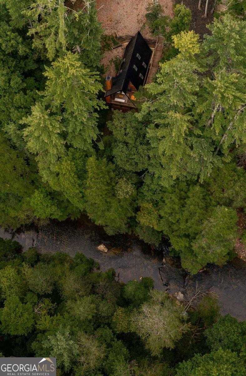 43 Dogwood Riverside Drive Blue Ridge - Photo 43