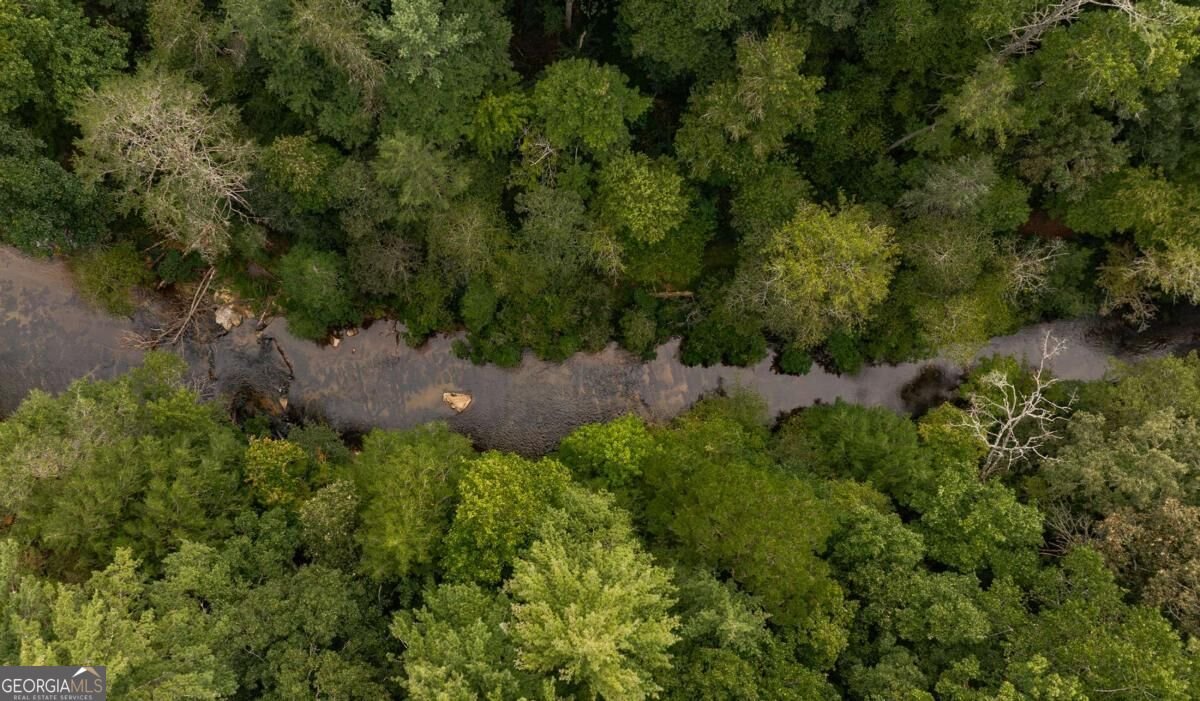 43 Dogwood Riverside Drive Blue Ridge - Photo 44