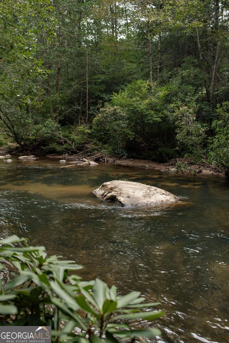 43 Dogwood Riverside Drive Blue Ridge - Photo 57