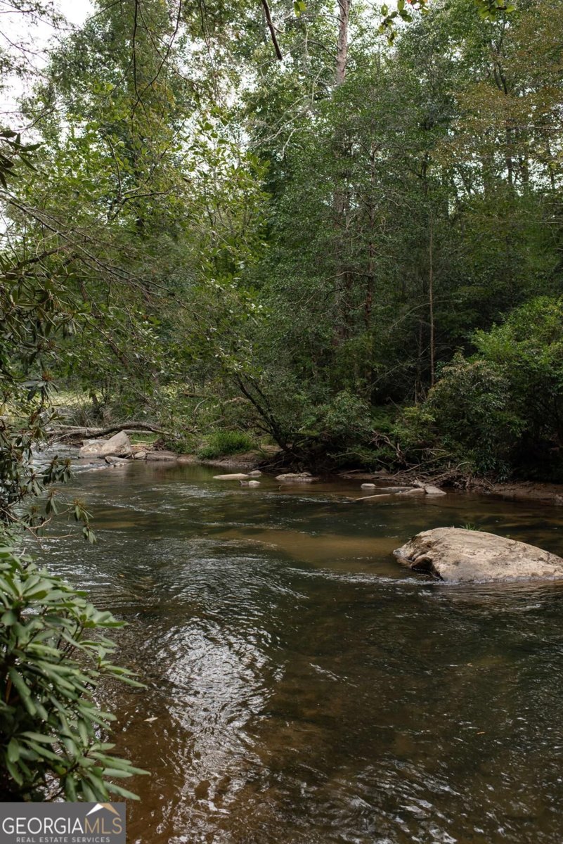 43 Dogwood Riverside Drive Blue Ridge - Photo 58