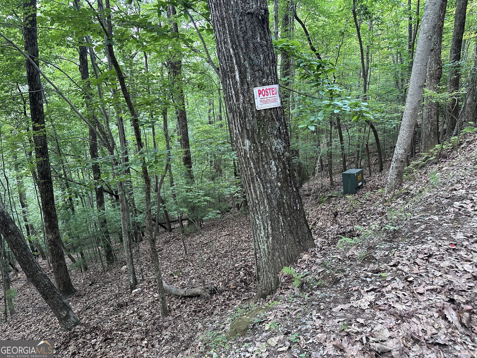 839 Enchanting Circle Morganton - Photo 52
