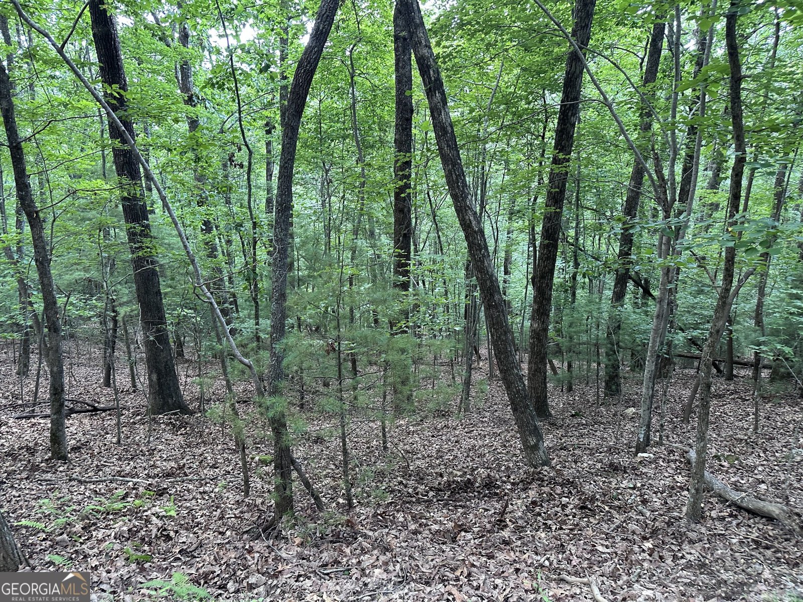 839 Enchanting Circle Morganton - Photo 53