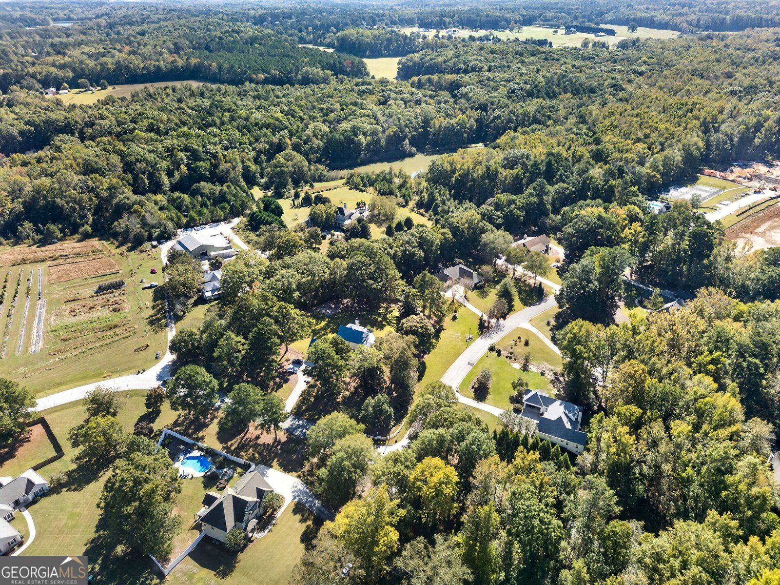 100 Pendleton Trail Tyrone - Photo 75