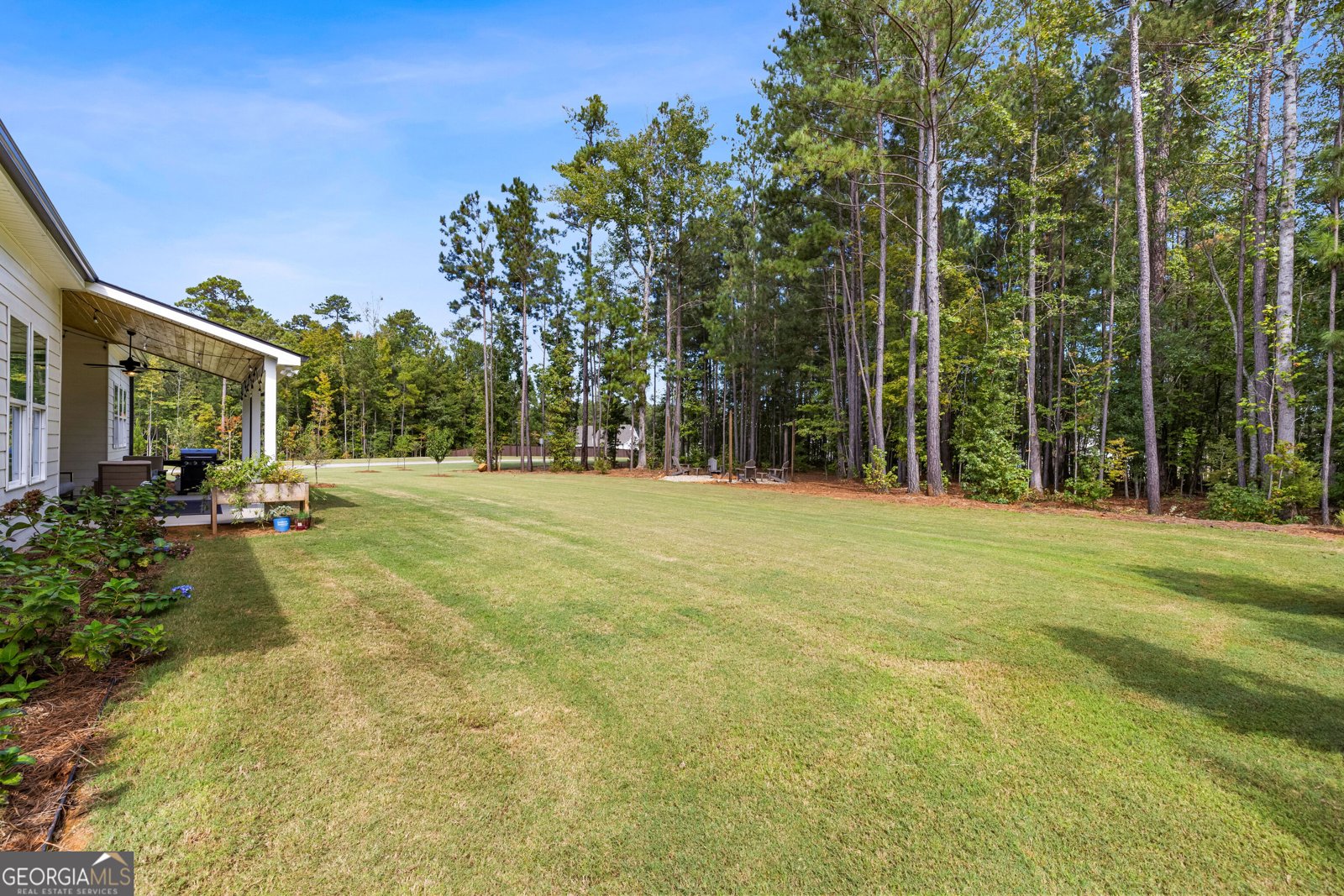 69 Ryeland Drive Senoia - Photo 59
