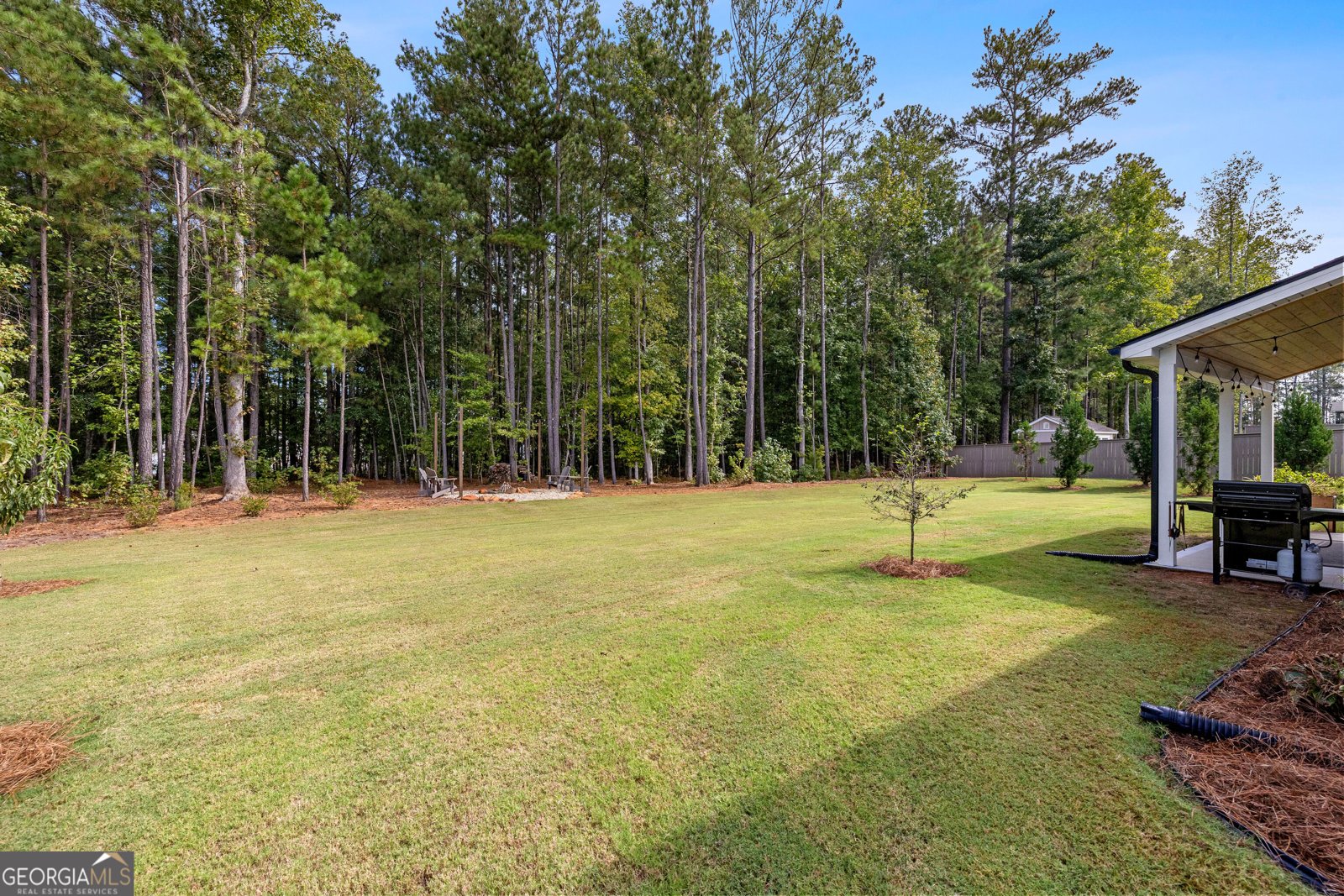 69 Ryeland Drive Senoia - Photo 60