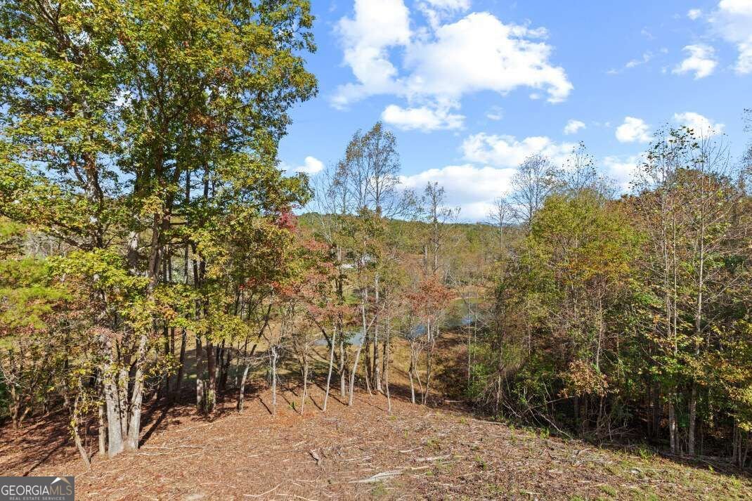 132 Coras View Blairsville - Photo 11