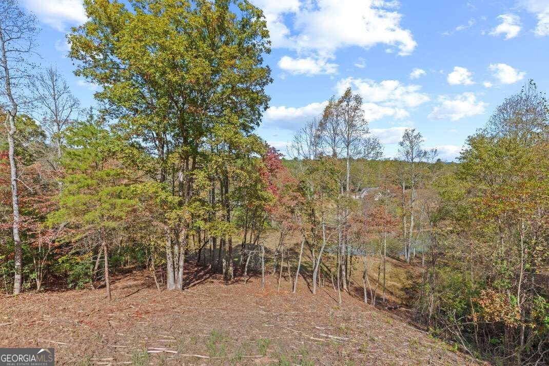 132 Coras View Blairsville - Photo 12