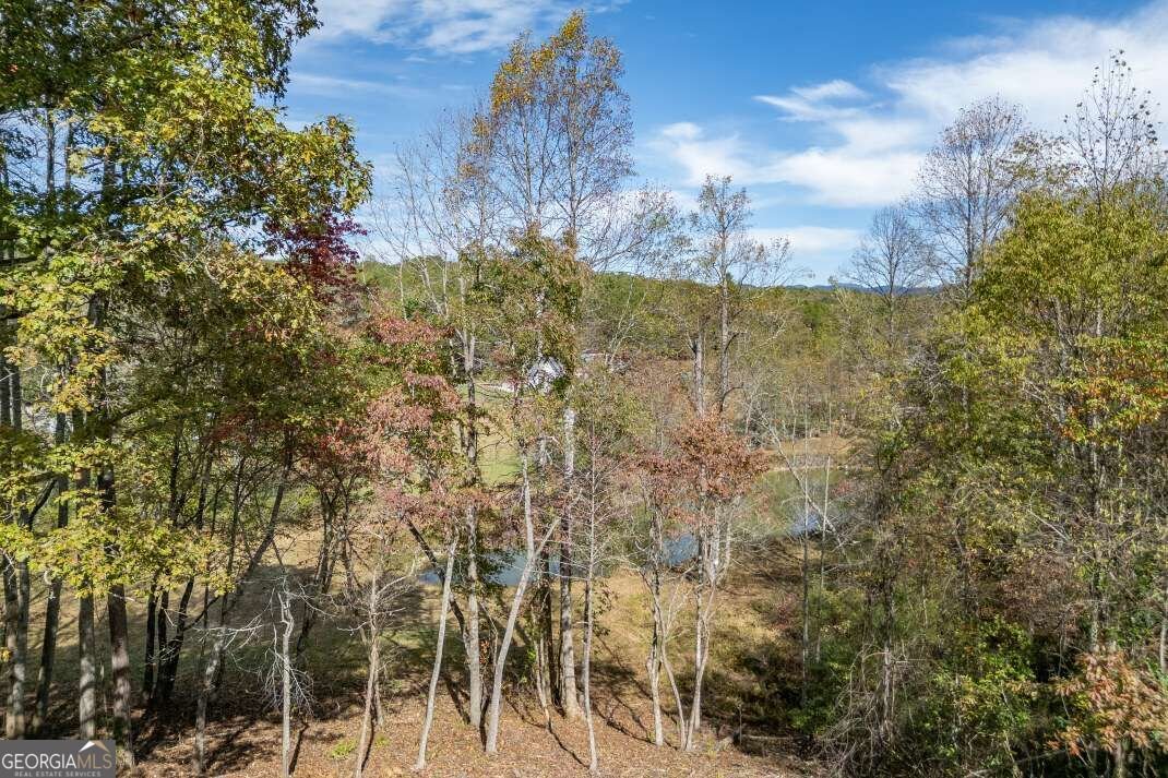 132 Coras View Blairsville - Photo 26