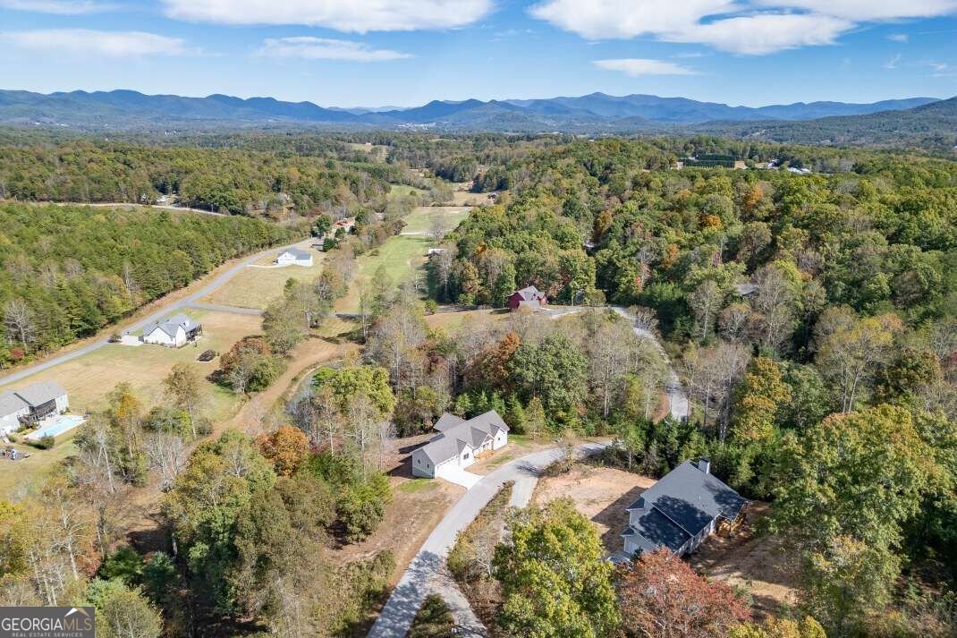 132 Coras View Blairsville - Photo 28