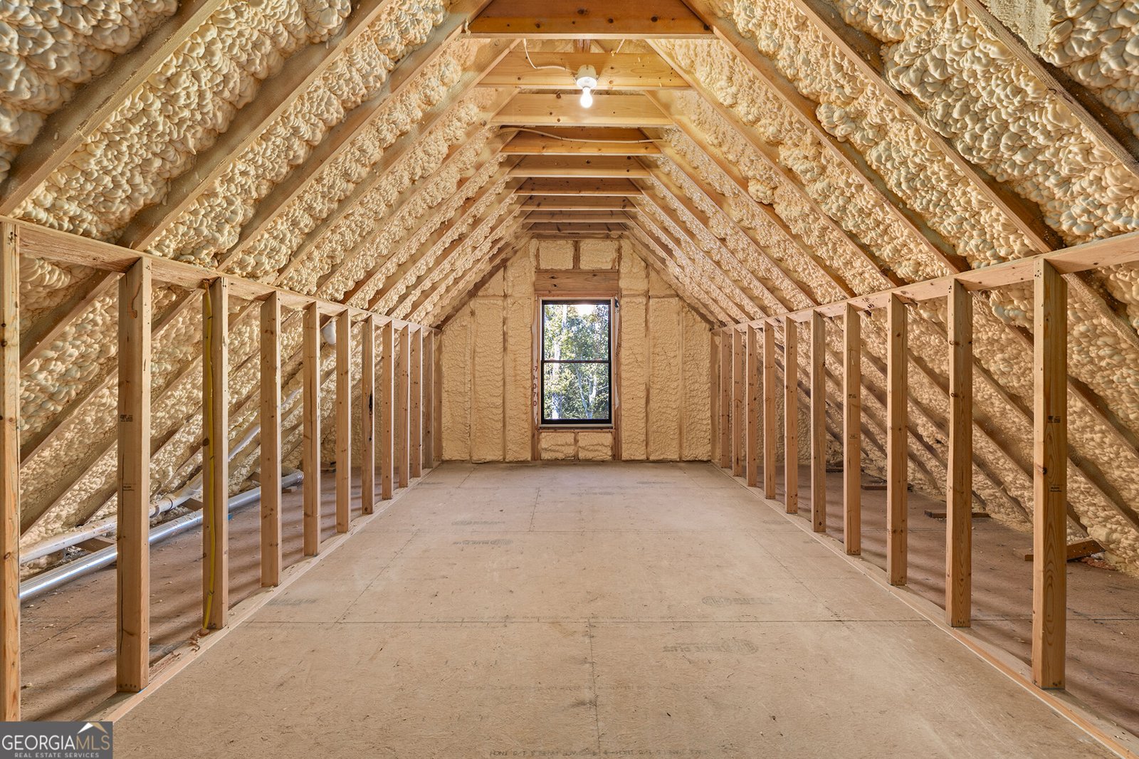 2951 Hornage Road Ball Ground - Photo 51