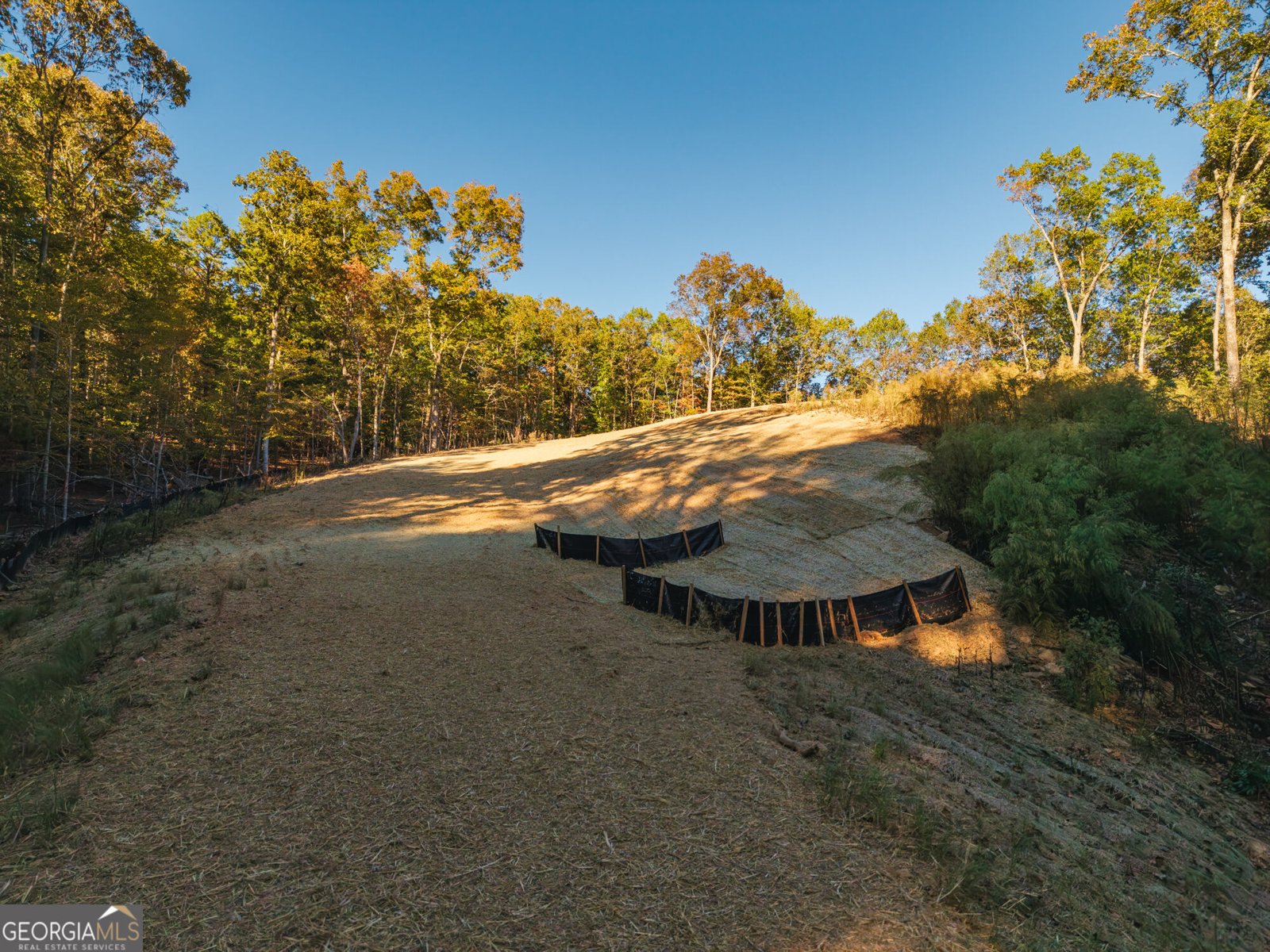 2951 Hornage Road Ball Ground - Photo 72