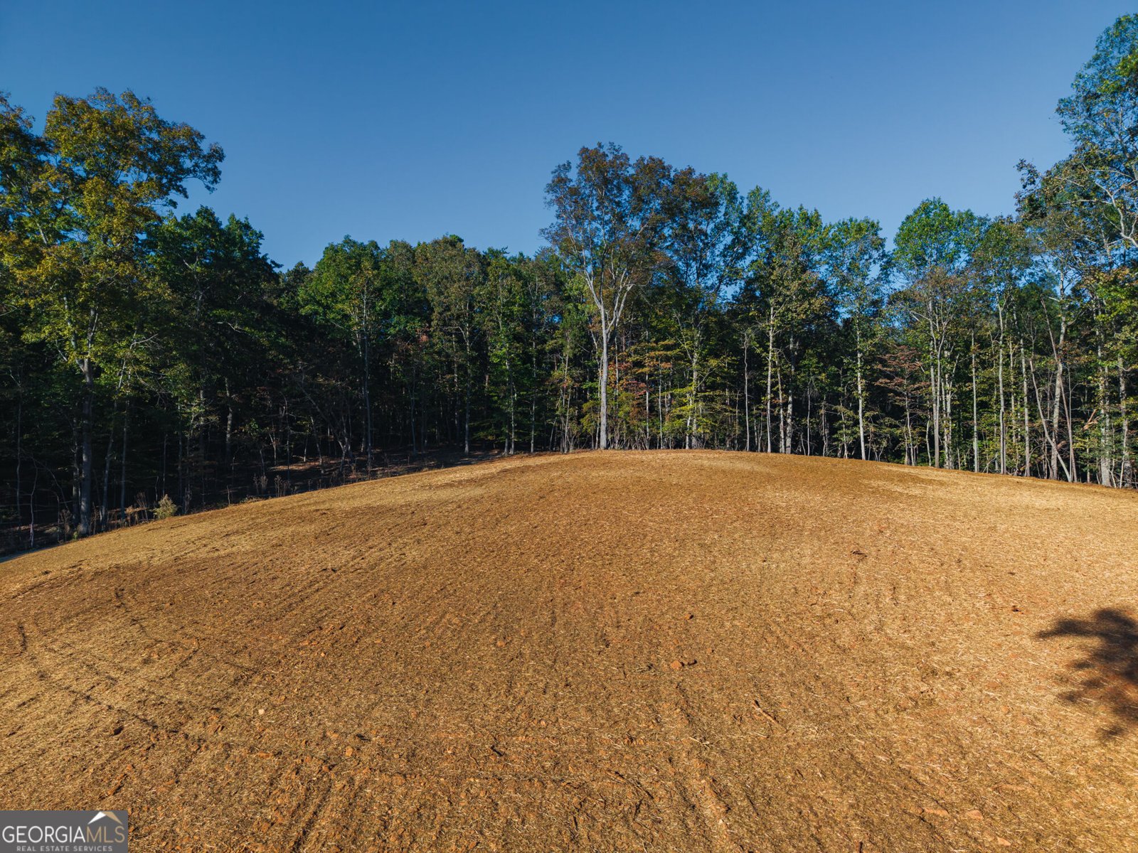 2951 Hornage Road Ball Ground - Photo 73
